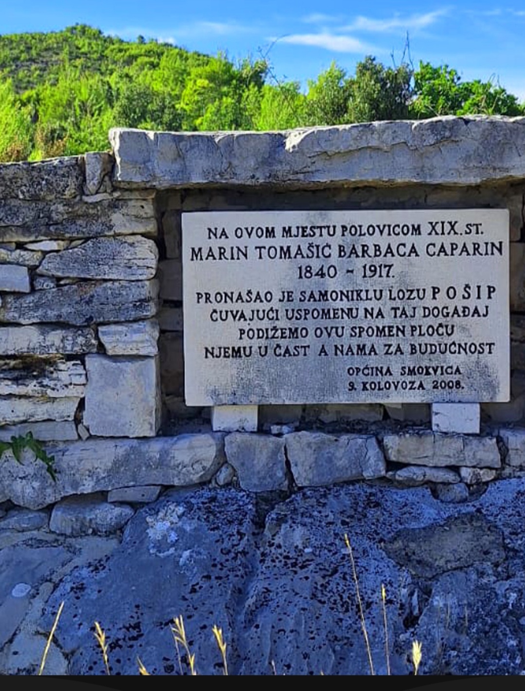Pošip mounment in Smokvica, where is found first plant of it!